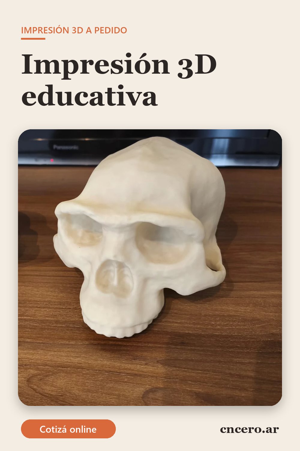 Impresión 3d educativa: cráneos de homínidos impresos en 3D en PLA color piedra, a escala real, para clases de biología y evolución humana